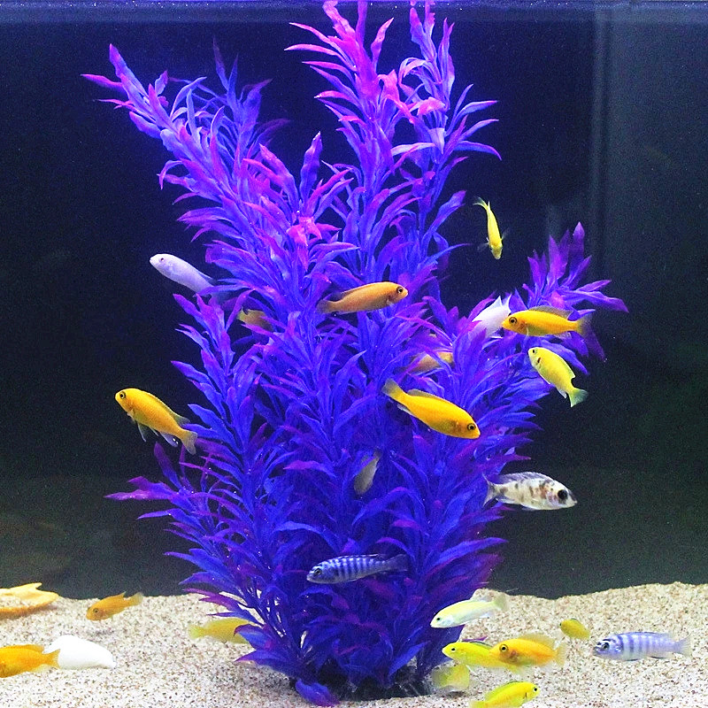 50CM Artificial Fish Tank Rare - Aquarium Plant Nursery avis et prix