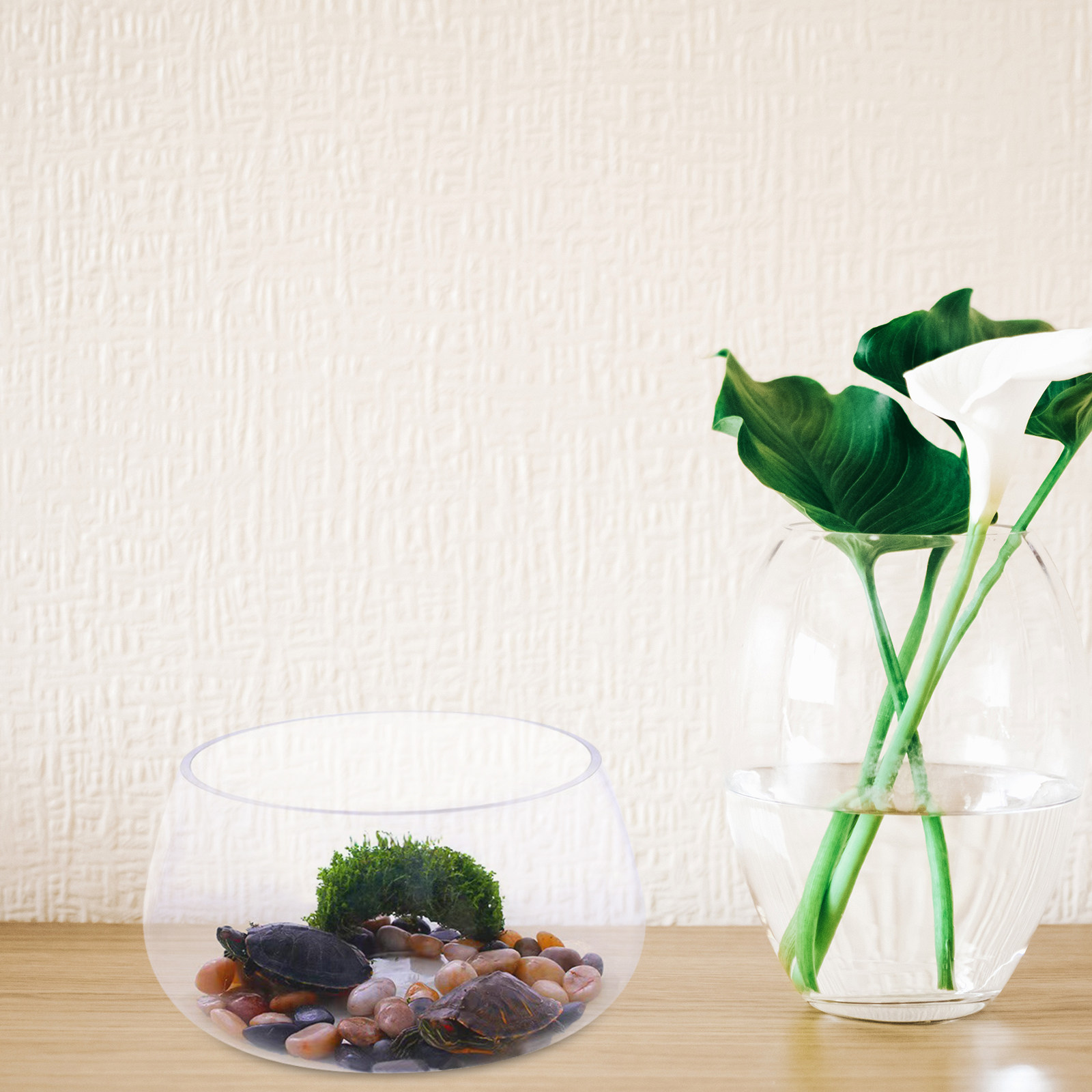 Round Mini Aquarium Transparen - Aquarium Planted Shop avis et prix