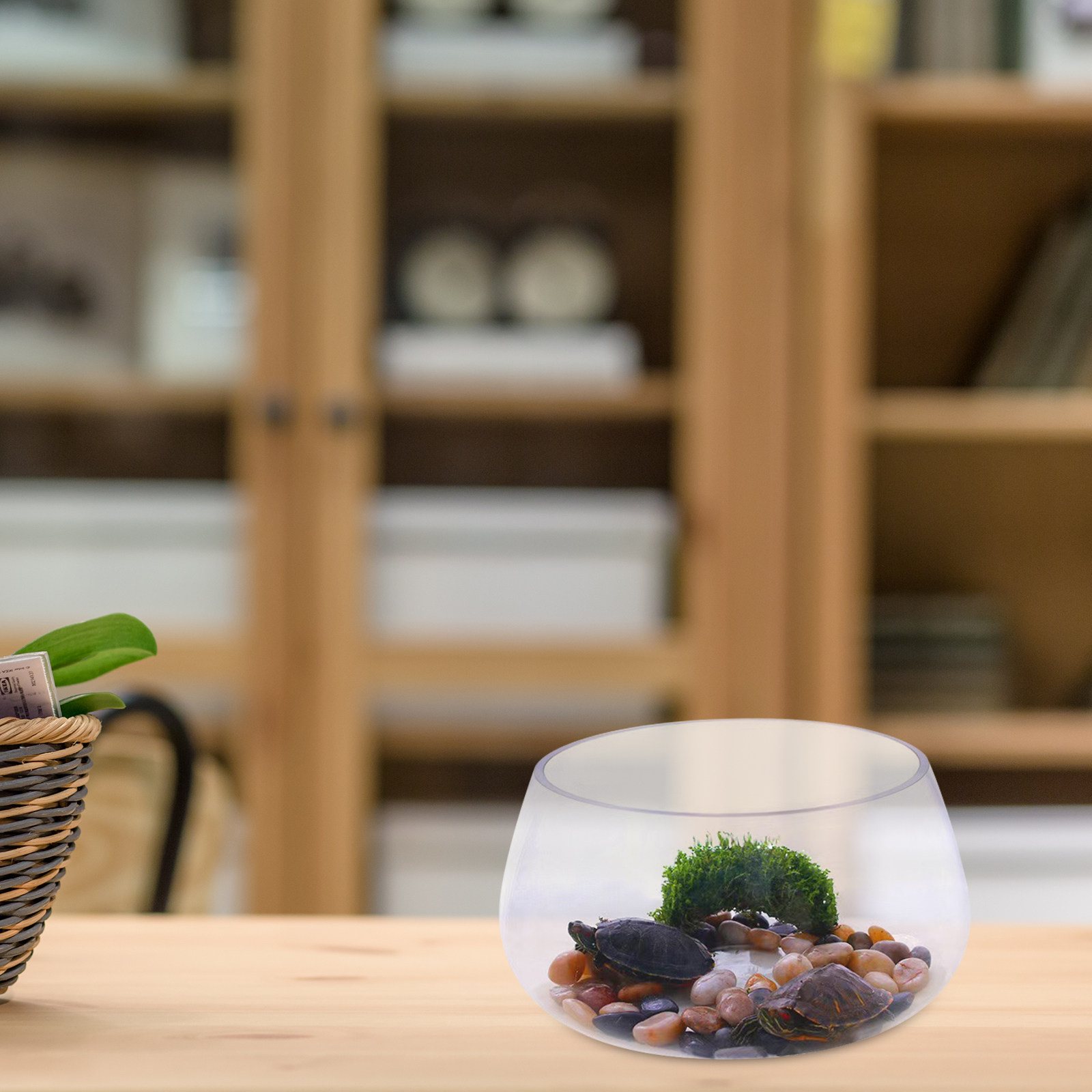 Round Mini Aquarium Transparen - Aquarium Planted Shop avis et prix
