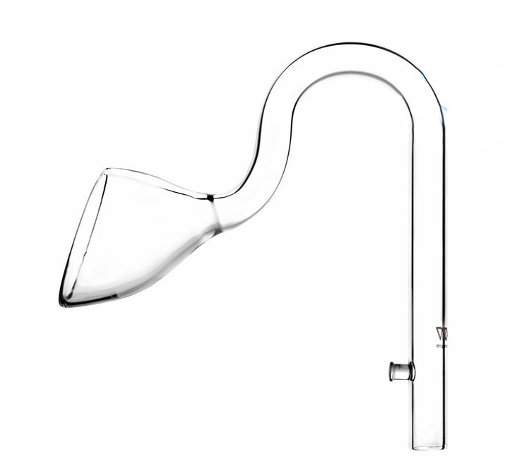 VIV 13mm 17mm ADA Style Lily G - Aquarium Plant Nursery avis et prix