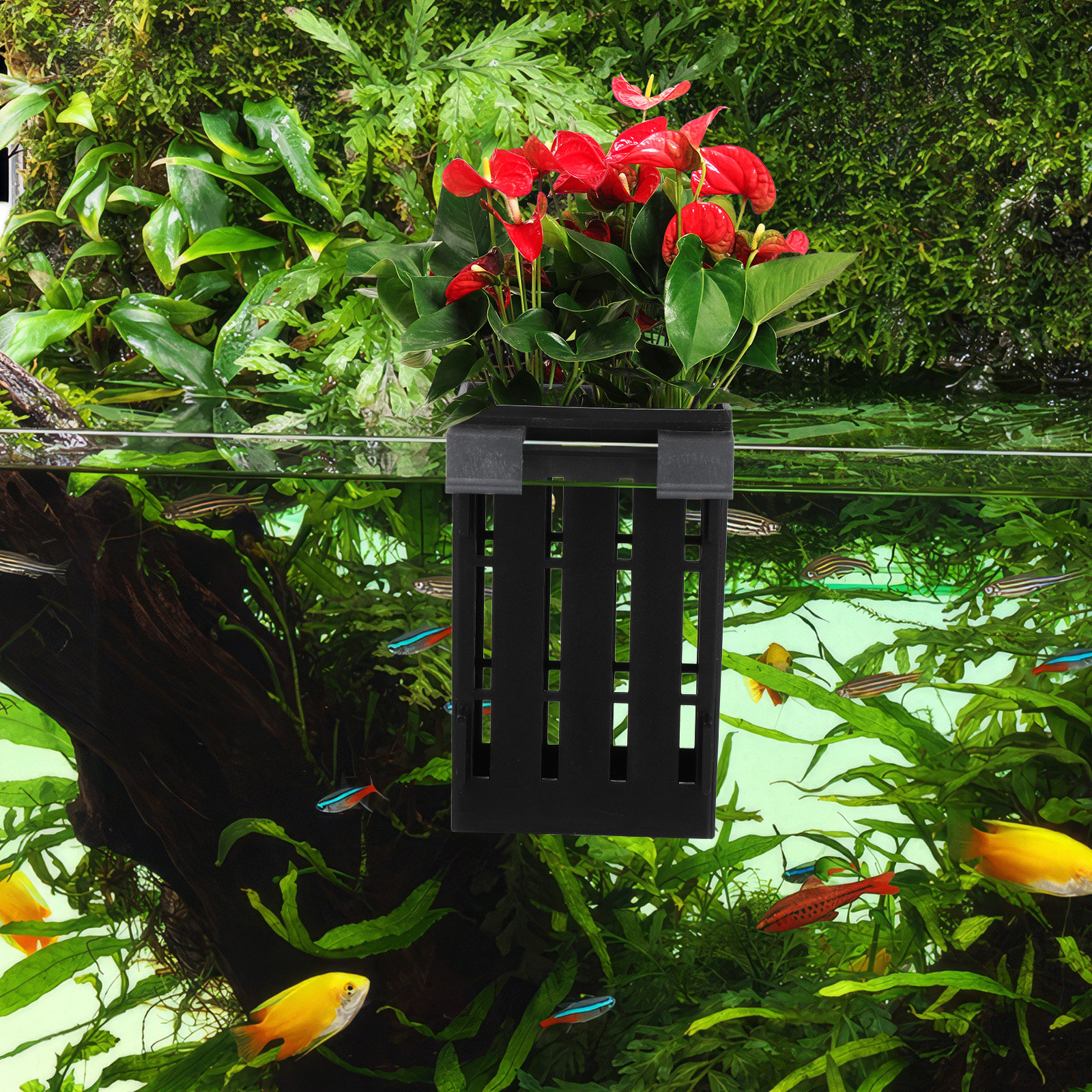 4Pcs Aquatic Plant Holder Hang - Aquarium Plant Nutrients avis et prix
