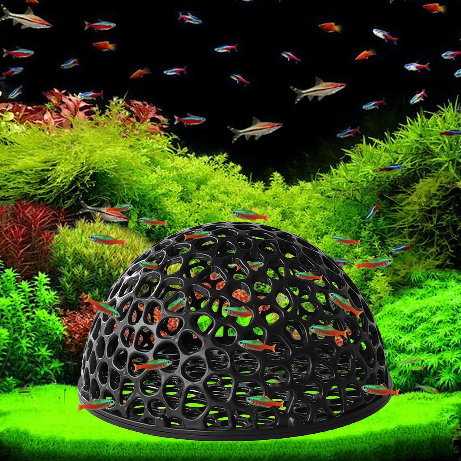 Aquarium shrimp house Cave Min - Aquarium Plant Roots avis et prix