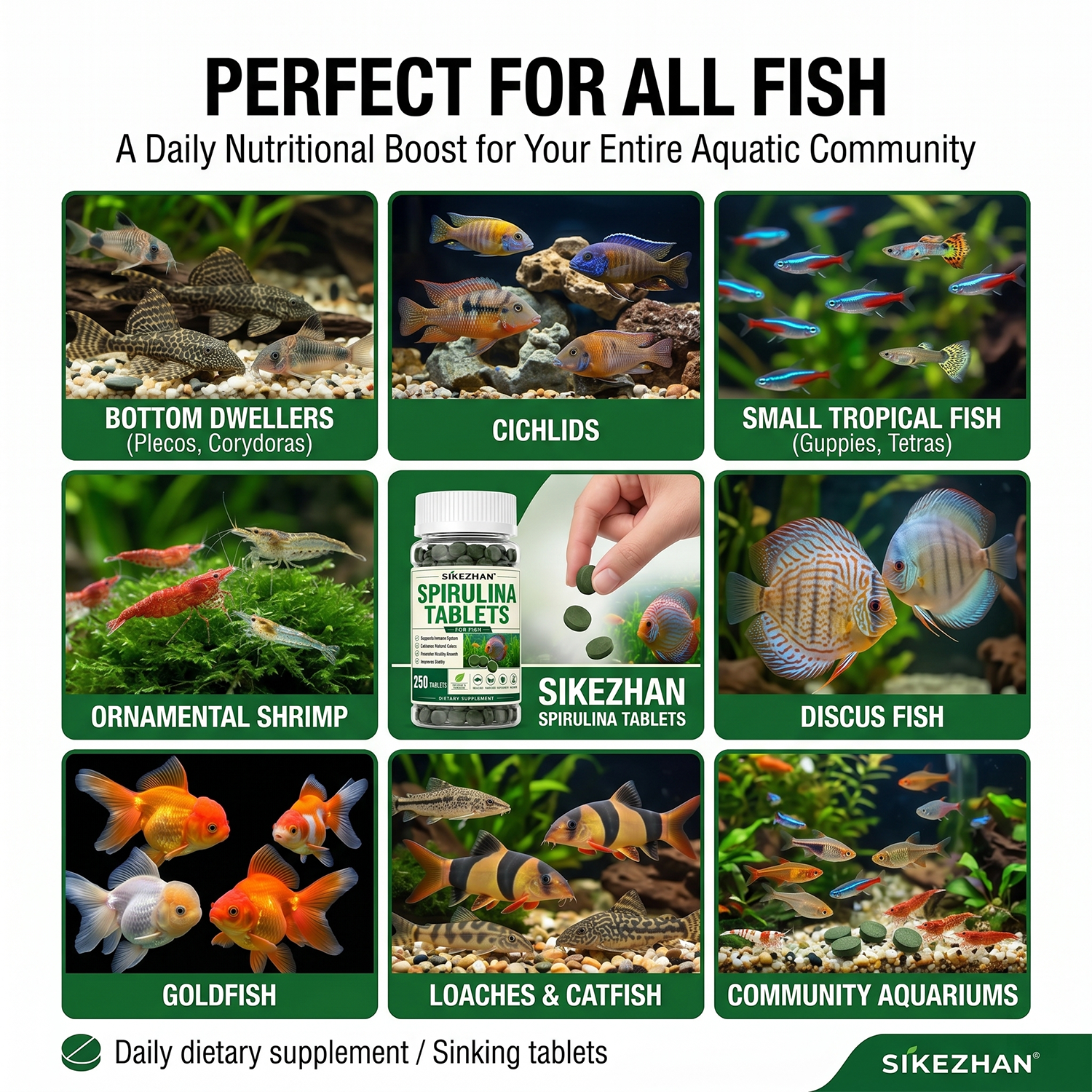 3 Bottles Spirulina Tablets Aq - Aquarium Plant Nutrients avis et prix