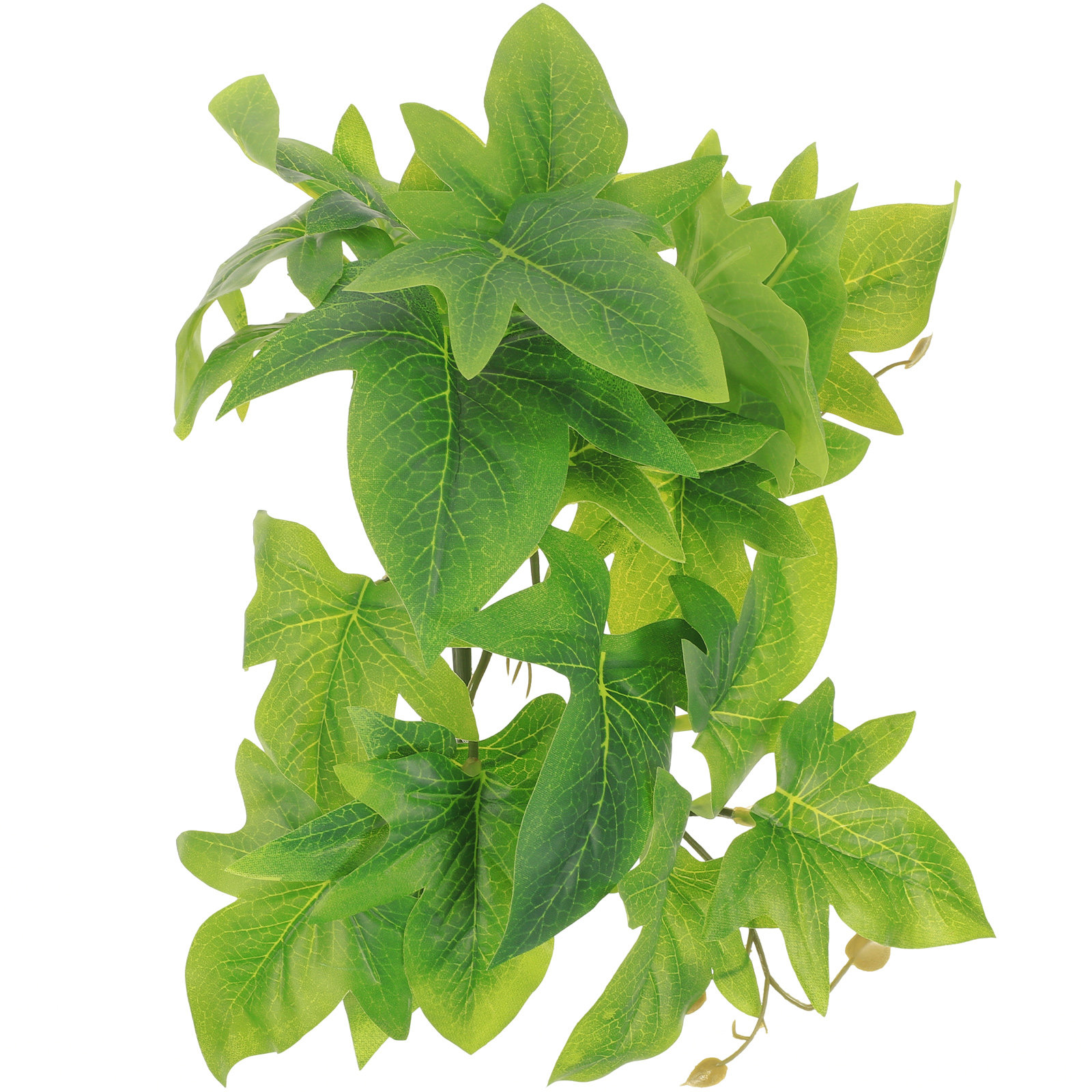 Reptile Terrarium Plant Wall M - Aquarium Plant Vine avis et prix
