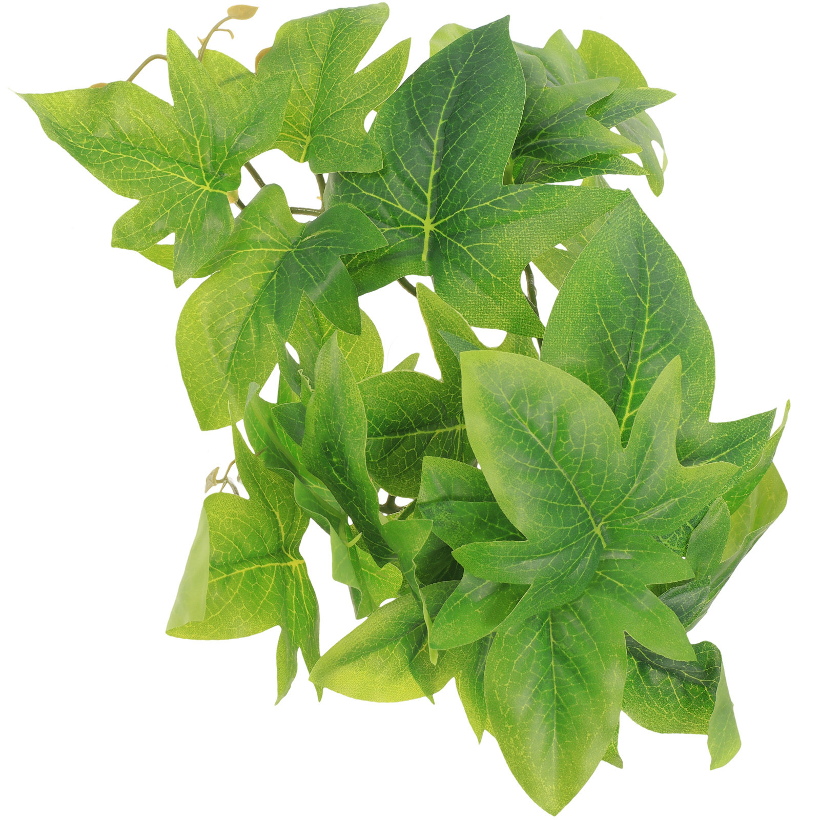 Reptile Terrarium Plant Wall M - Aquarium Plant Vine avis et prix