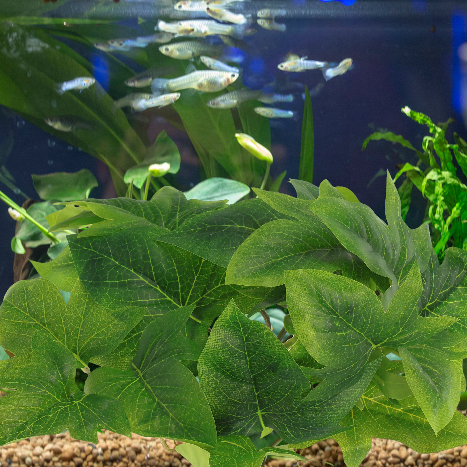 Reptile Terrarium Plant Wall M - Aquarium Plant Vine avis et prix