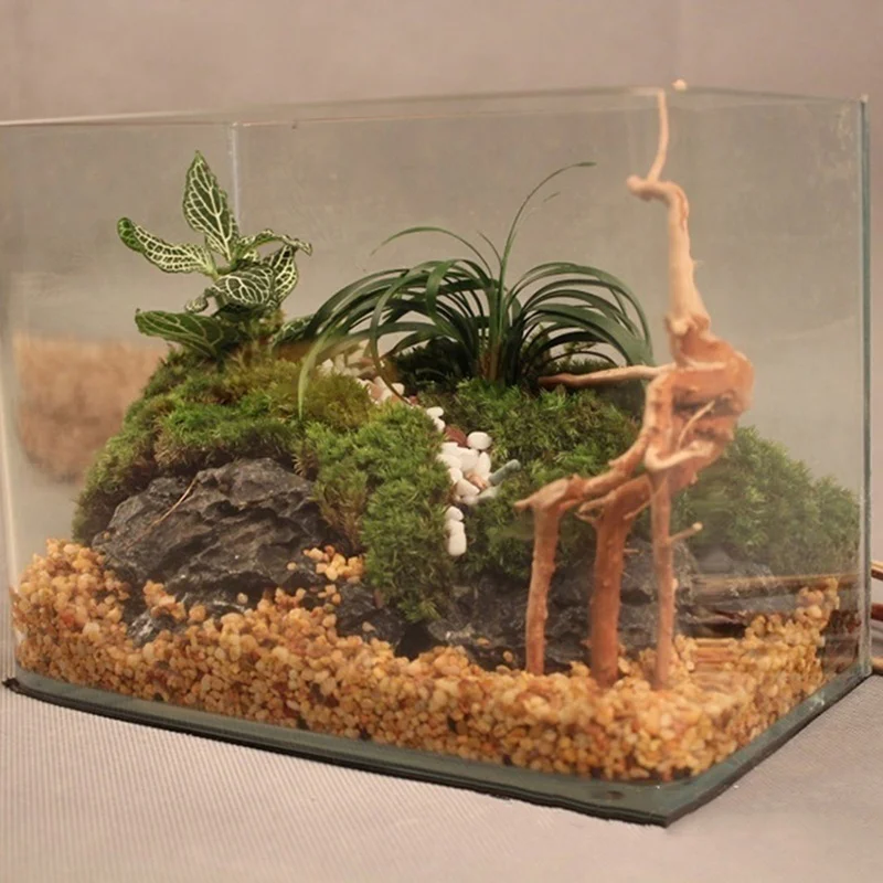 Natural Tree Trunk Driftwood A - Aquarium Plant Root Tabs avis et prix