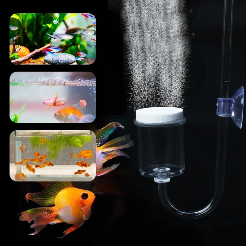 4pcs Set DIY CO2 Diffuser For  - Aquarium Plant Nursery avis et prix