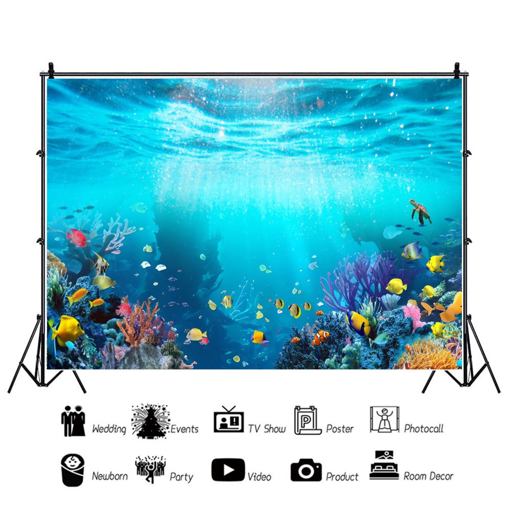 Ocean Underwater World Fish Co - Planted Aquarium Photos avis et prix